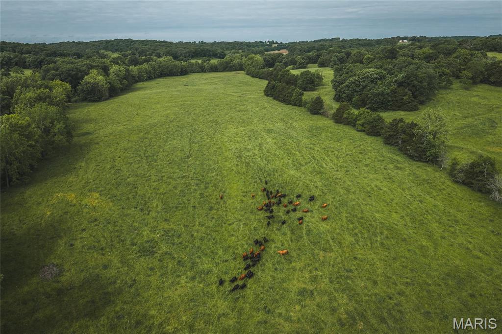 NA - Farm