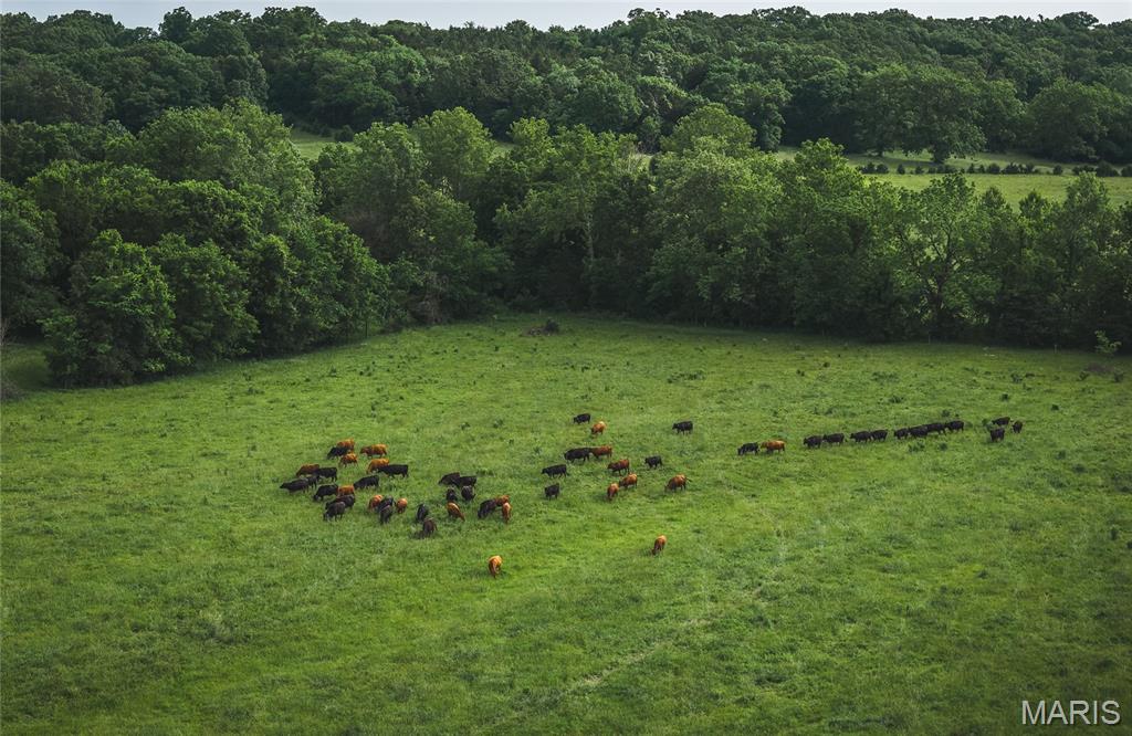 NA - Farm