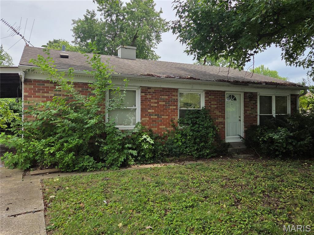 Steeplechase - Residential