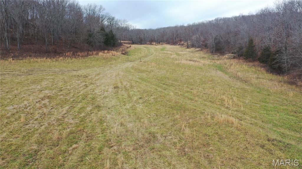Escape to your own private retreat just minutes from town! This beautiful 39.16-acre property features approximately 8 acres of open ground, a peaceful pond, and abundant wildlife including whitetail deer and wild turkey. With frontage on a state-maintained highway, it offers easy access and multiple prime building sites with breathtaking views. Ideal for a forever home, family getaway, or recreational haven for camping and outdoor adventures. Located near Mark Twain National Forest and just a short drive to Montauk State Park with world-class trout fishing. Surveyed, electric nearby, and ready for your vision—this is your chance to own a true slice of paradise.