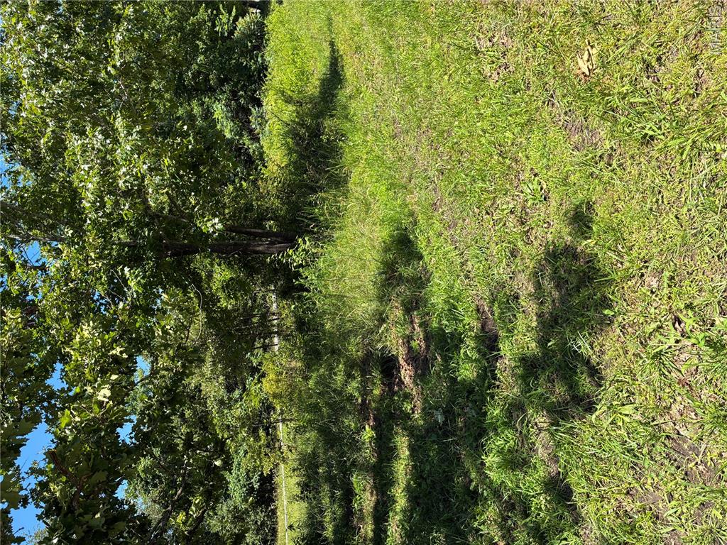 Own your own piece of ground at an affordable price in the beautiful Missouri Ozarks in the picturesque tiny town of Hunter. This little slice of property offers a peaceful rural setting while conveniently close to Cave Springs and the renowned Current River, known for its crystal-clear waters, floating, fishing, and outdoor recreation.  With electric service available nearby, this property is an excellent opportunity for a camper site!