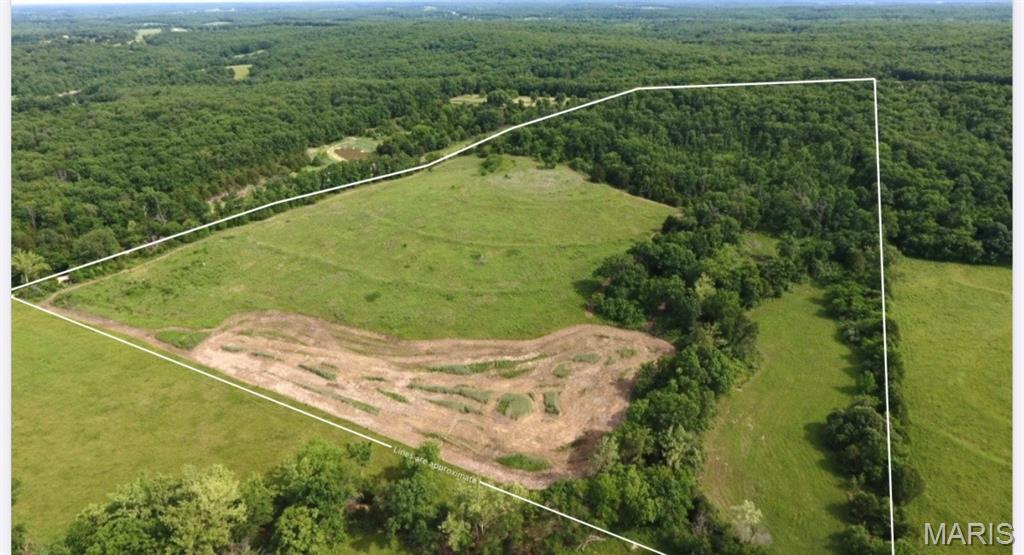 This 34.63 m/l; acre tract is a highly improved, turnkey hunting property built for serious outdoor enthusiasts. Though compact in size, it offers exceptional hunting opportunities and has been thoughtfully managed to maximize wildlife habitat and movement. The property features a strong stand of mature white oaks, recent TSI timber work, established bedding cover, and strategically placed brassica food plots designed to attract and hold game year-round.

A seasonal creek winds through the property, adding both natural beauty and a reliable water source. Established bedding areas and well-maintained food plots help hold and attract game throughout the year.

This property is truly ready to hunt, coming equipped with a Redneck blind already in place. Whether you're targeting whitetail deer and turkey or enjoying small game opportunities for rabbit, squirrel, and quail, this tract punches well above its weight for its size.

Compact, efficient, and set up for success-this is a rare opportunity to step into a fully dialed-in hunting property just in time for the 2026 season.