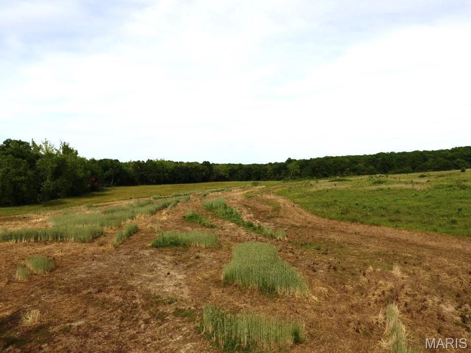 N/A - Farm