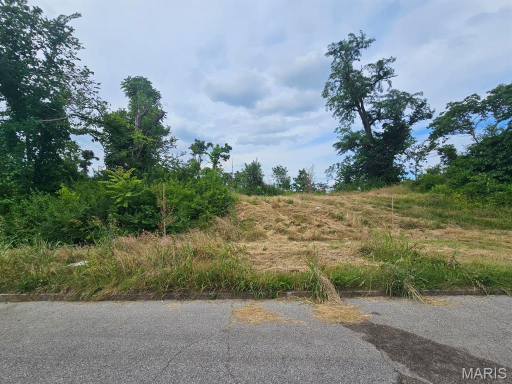 This vacant residential lot offers approximately  10,875 square feet providing ample space for your imagination. Bring your ideas and explore the possibilities this property has to offer!