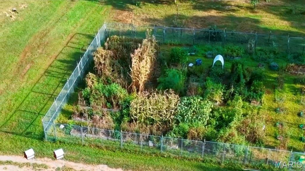 None - Farm