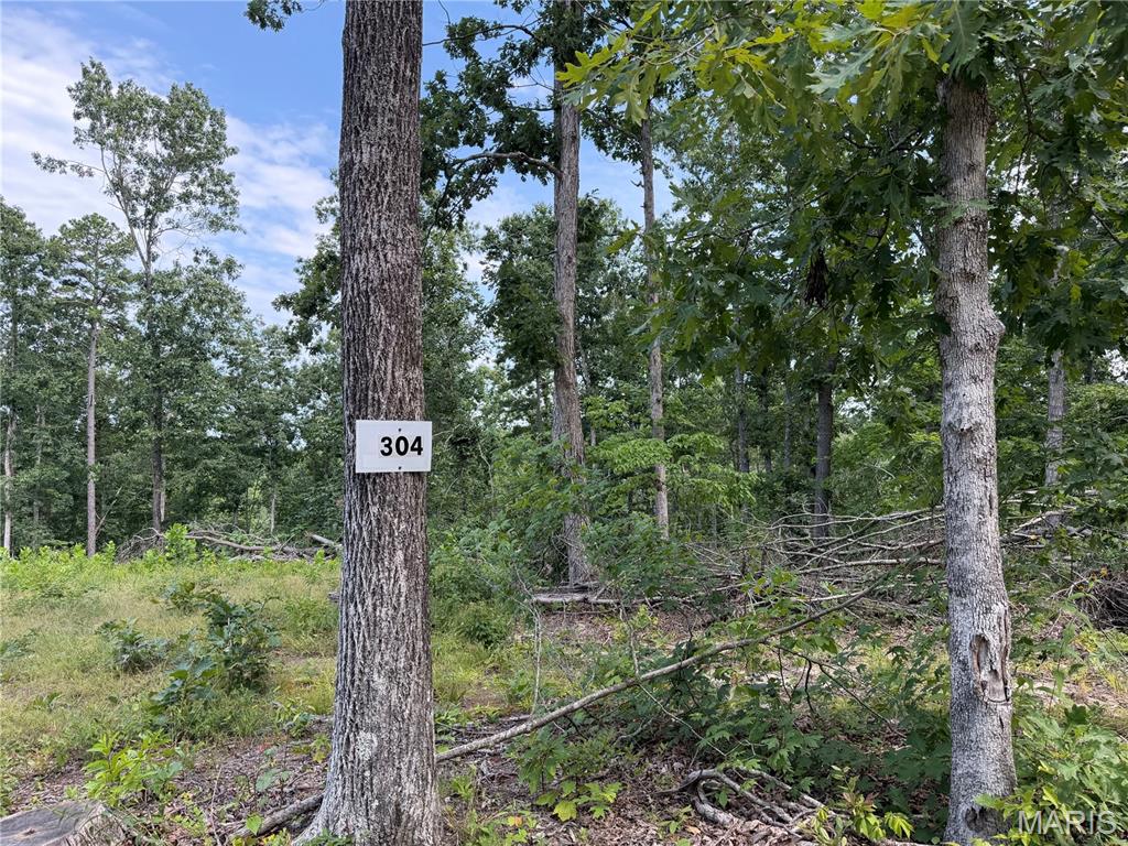 Discover the beauty, freedom, and tranquility of the Missouri Ozarks with these exceptional land offerings located south of Fredericktown, just off Highway 67 and near the Mark Twain National Forest. With multiple tracts and a variety of acreage options available, there is an opportunity to find the perfect piece of land to fit your vision. The nearby Mark Twain National Forest offers more than 22,000 acres of public land to explore, adding even more opportunity for outdoor adventure and recreation.
Many of these affordable wooded pieces offer beautiful natural surroundings, with select tracts featuring creek access, springs, and scenic views of the surrounding Ozark landscape. With no restrictions, you have the freedom to enjoy your property your way—whether that means hunting, primitive camping, building, riding ATVs, or simply finding a peaceful place to escape the pressures of everyday life. These tracts also offer access via a deeded easement gravel road leading from the county road to the property, while nearby Twelve Mile Creek provides additional opportunities to fish, explore, and enjoy the outdoors.
This is your chance to unplug, reconnect with nature, and enjoy the freedom and beauty of the great outdoors in Southeast Missouri. Whether you're searching for a private hunting retreat, a weekend getaway, a place to camp and explore, or land to create your own outdoor escape, there are many amazing tracts to choose from. Call today for more information and to explore the available options!