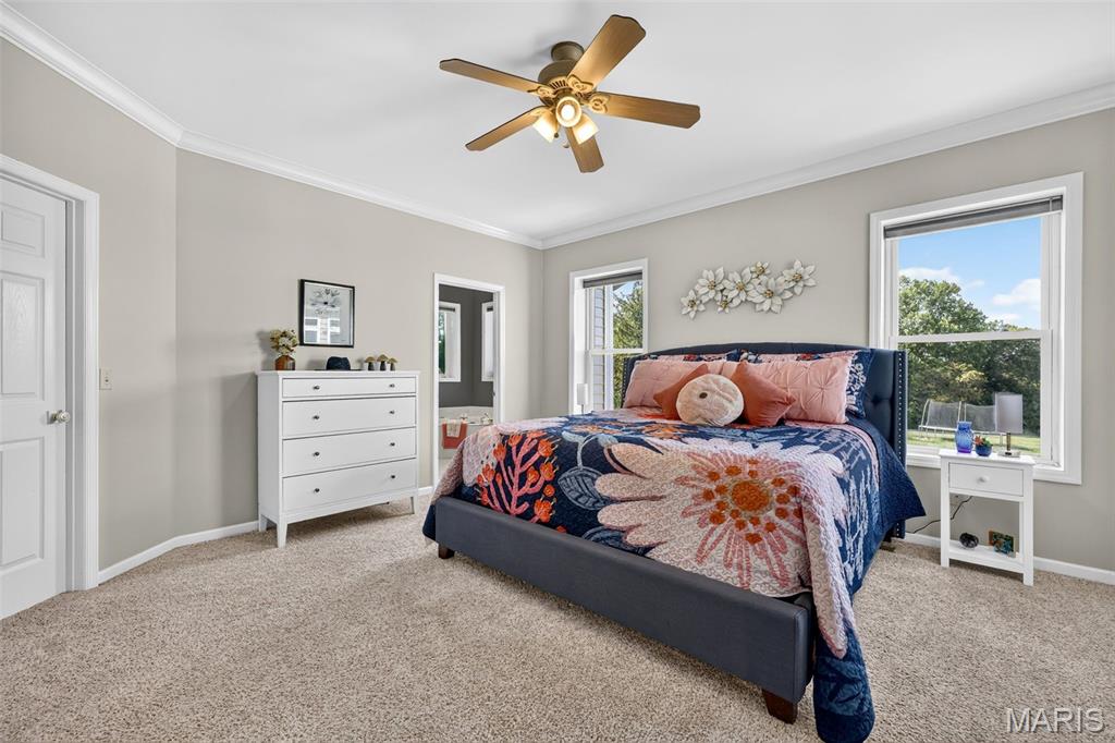 Southfield - Residential