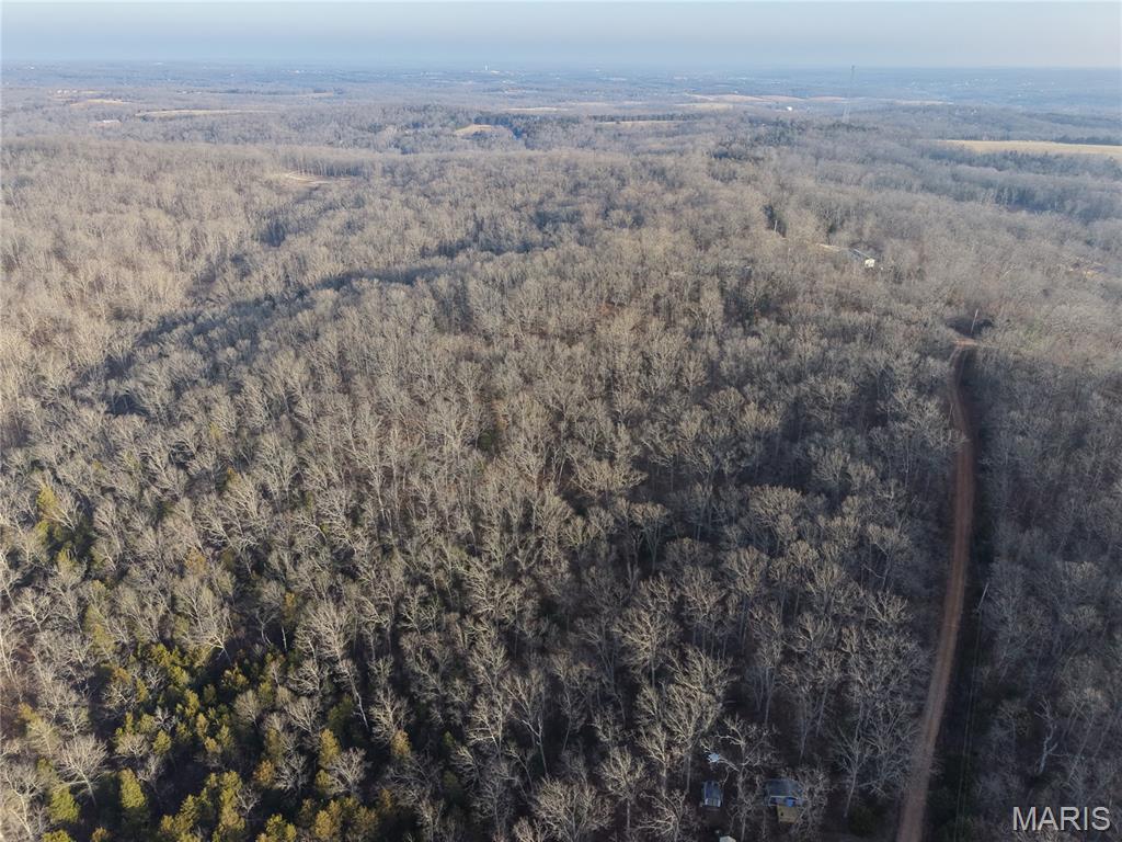 Big Woods - Land