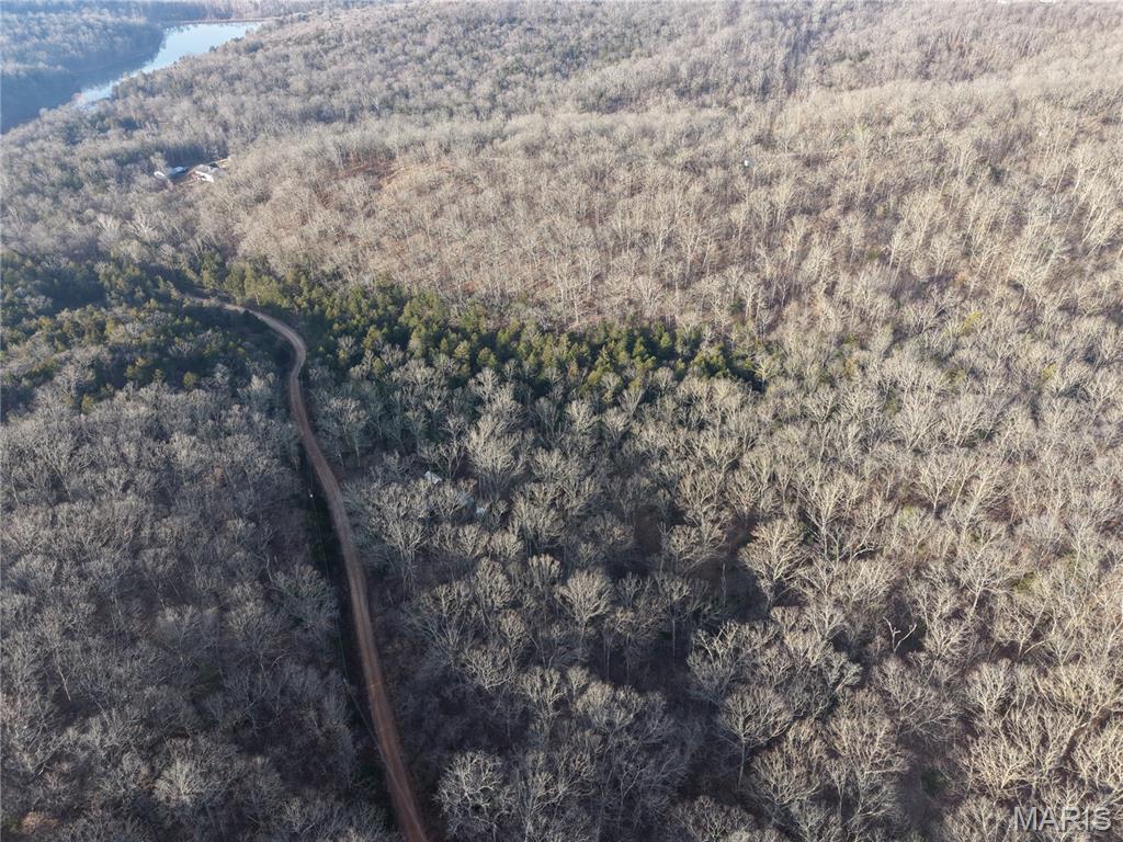 Big Woods - Land