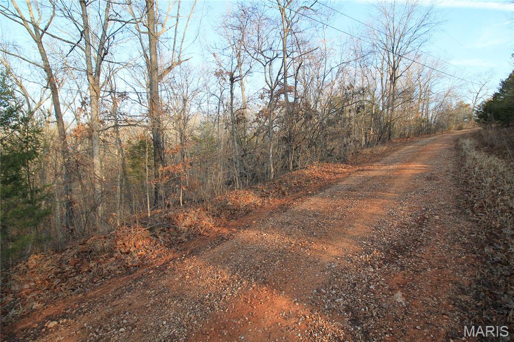 Big Woods - Land