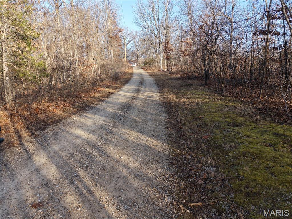 Big Woods - Land