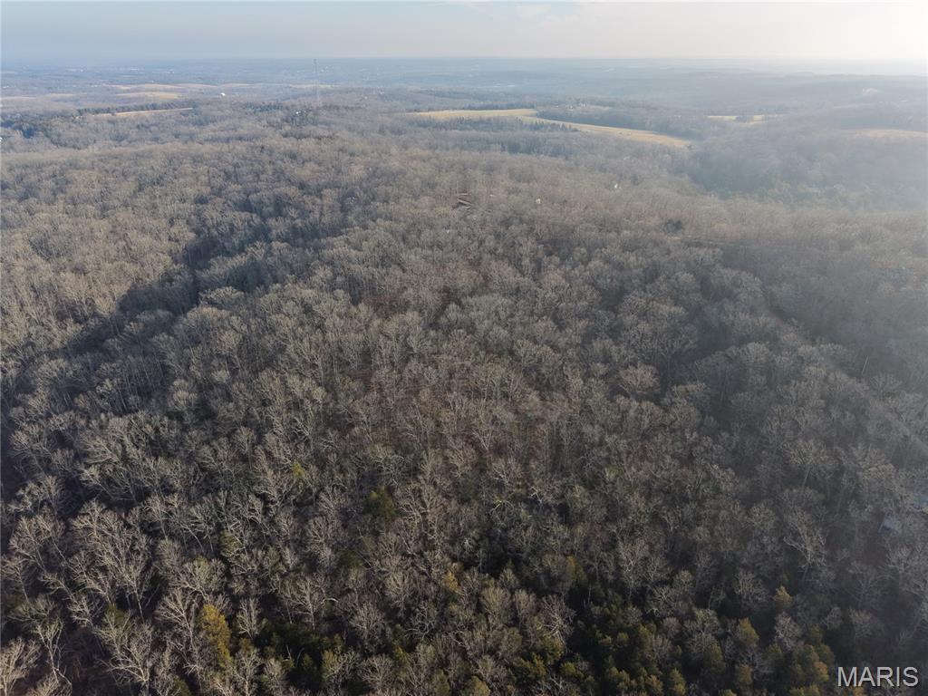 Big Woods - Land
