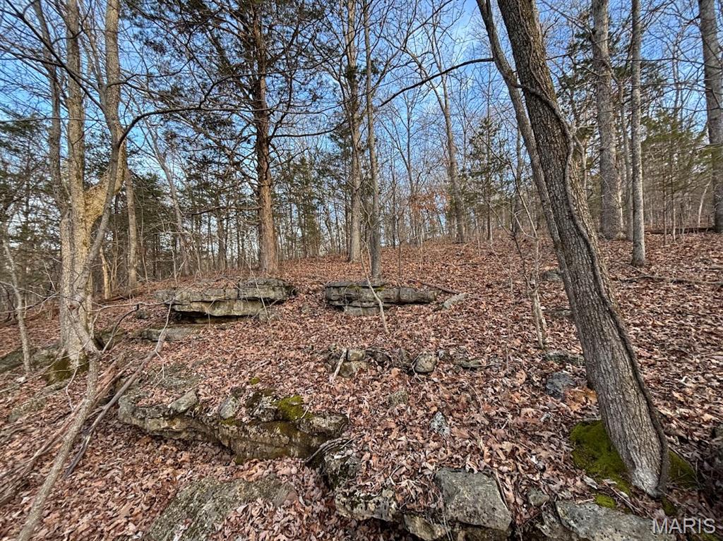 Big Woods - Land