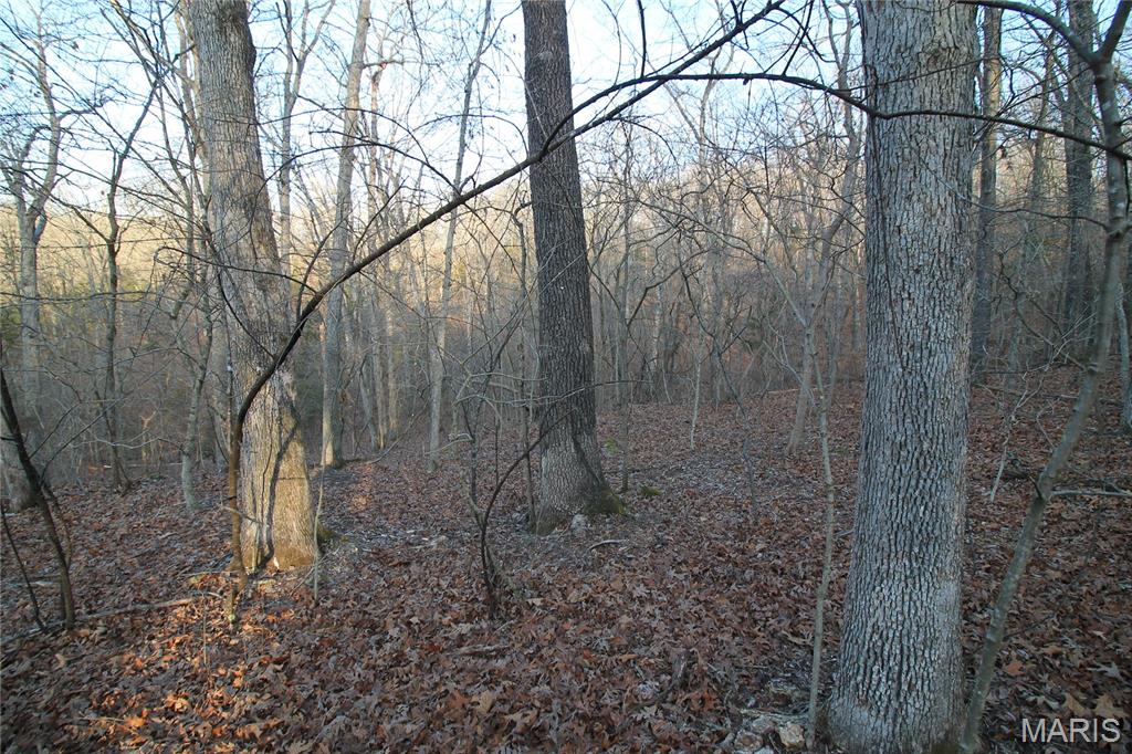 Big Woods - Land