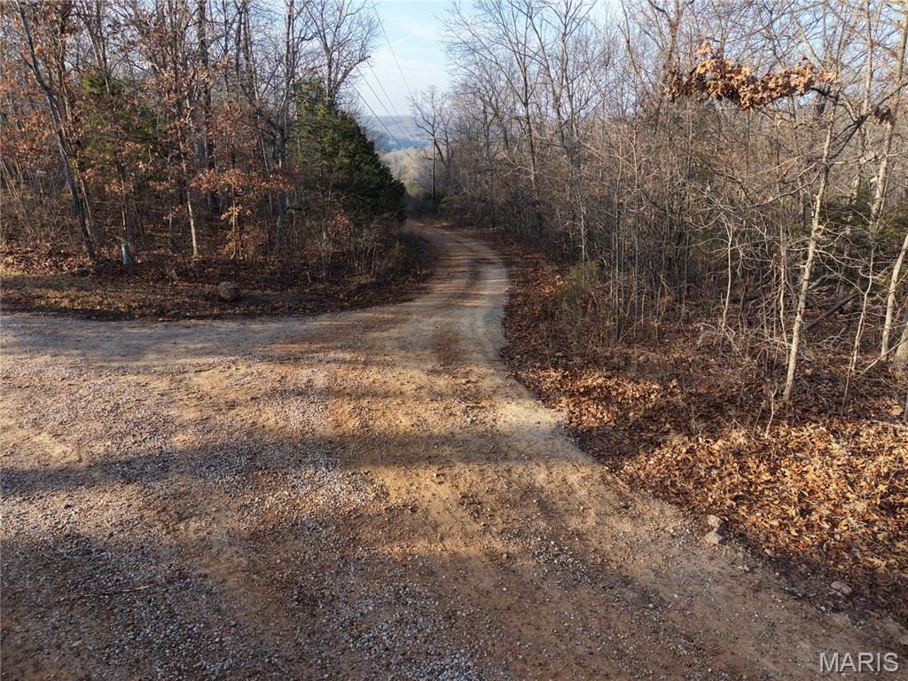 Big Woods - Land