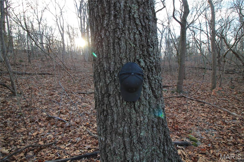 Big Woods - Land