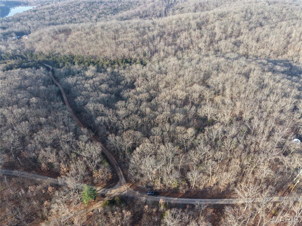 Big Woods - Land