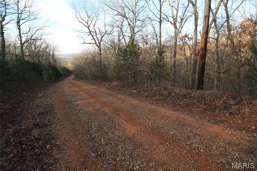 Big Woods - Land