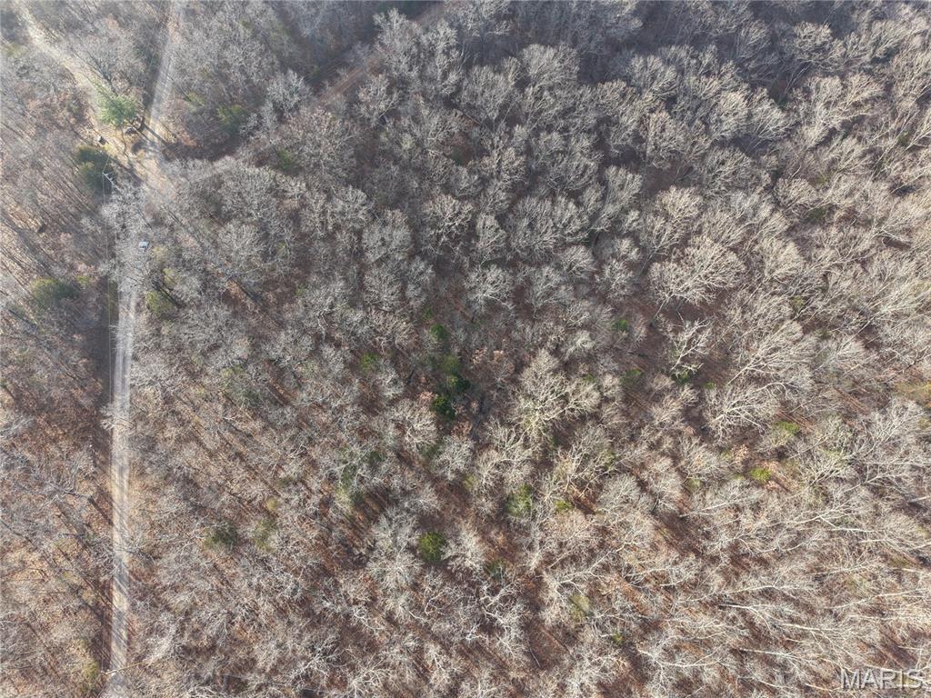 Big Woods - Land