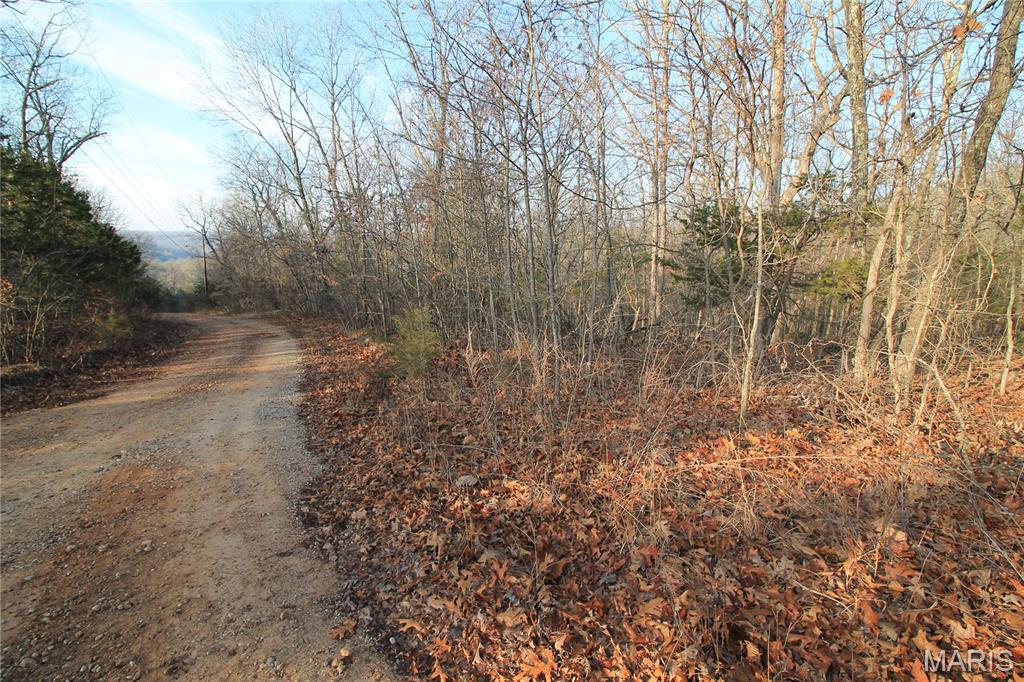 Big Woods - Land