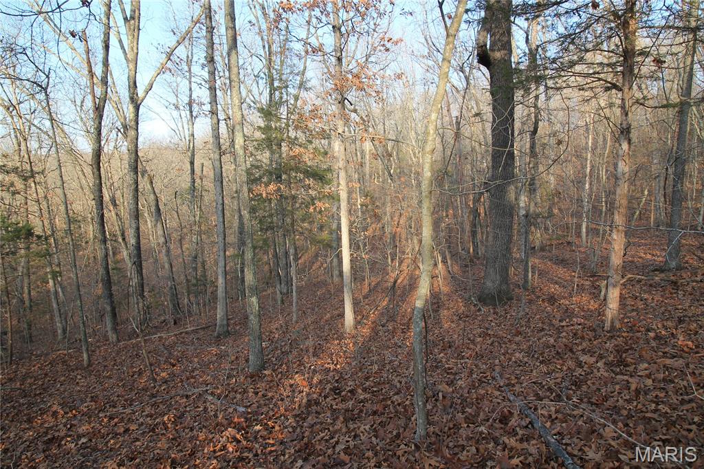 Big Woods - Land
