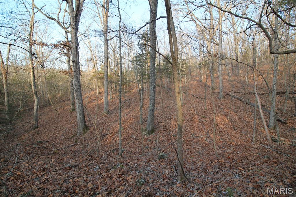 Big Woods - Land