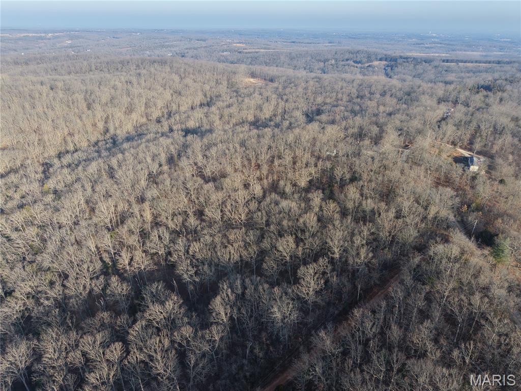 Big Woods - Land