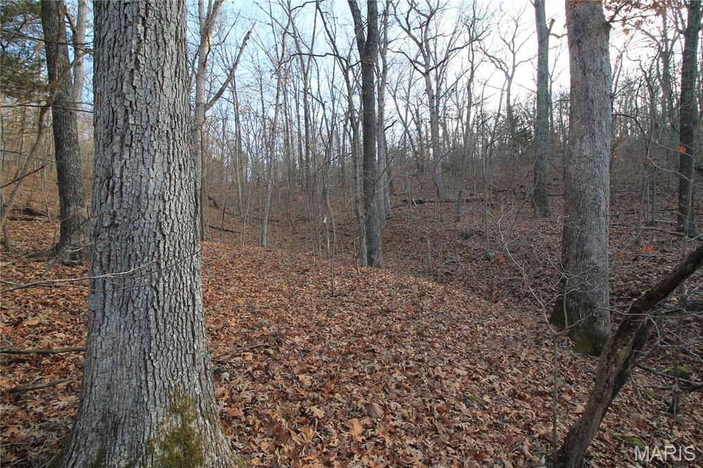 Big Woods - Land