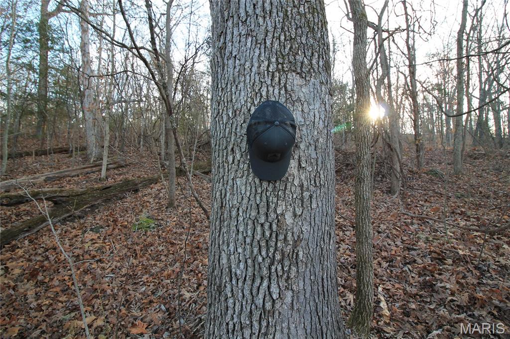 Big Woods - Land