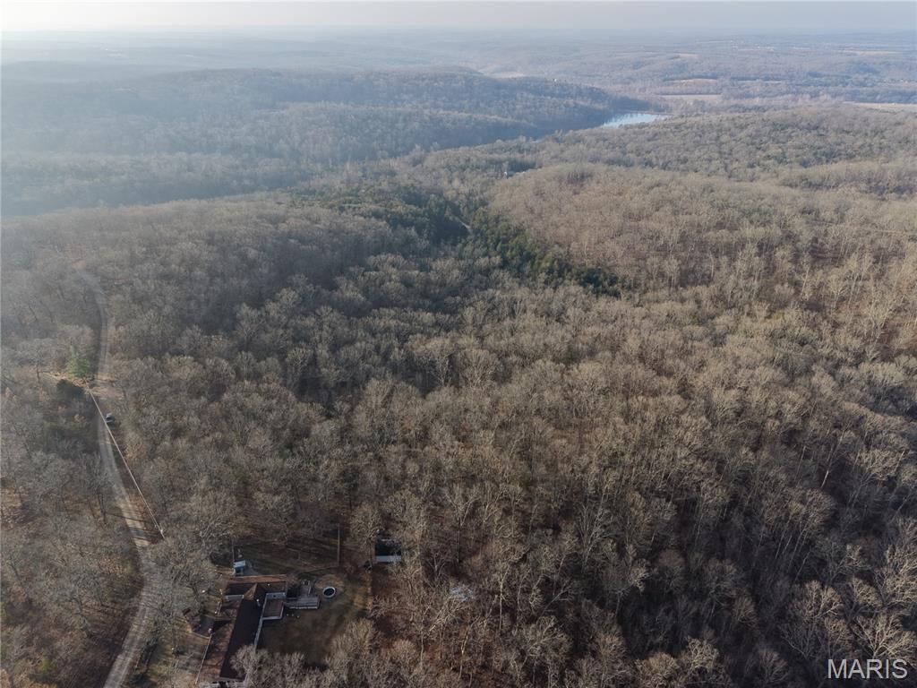 Big Woods - Land