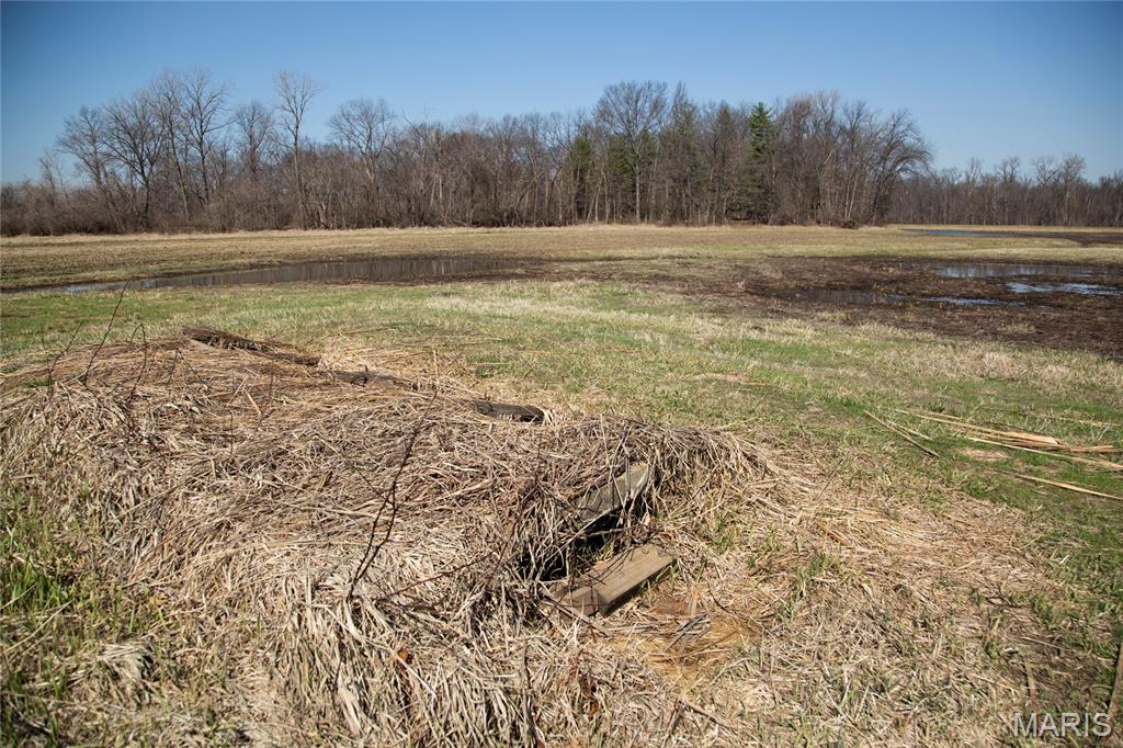none - Farm