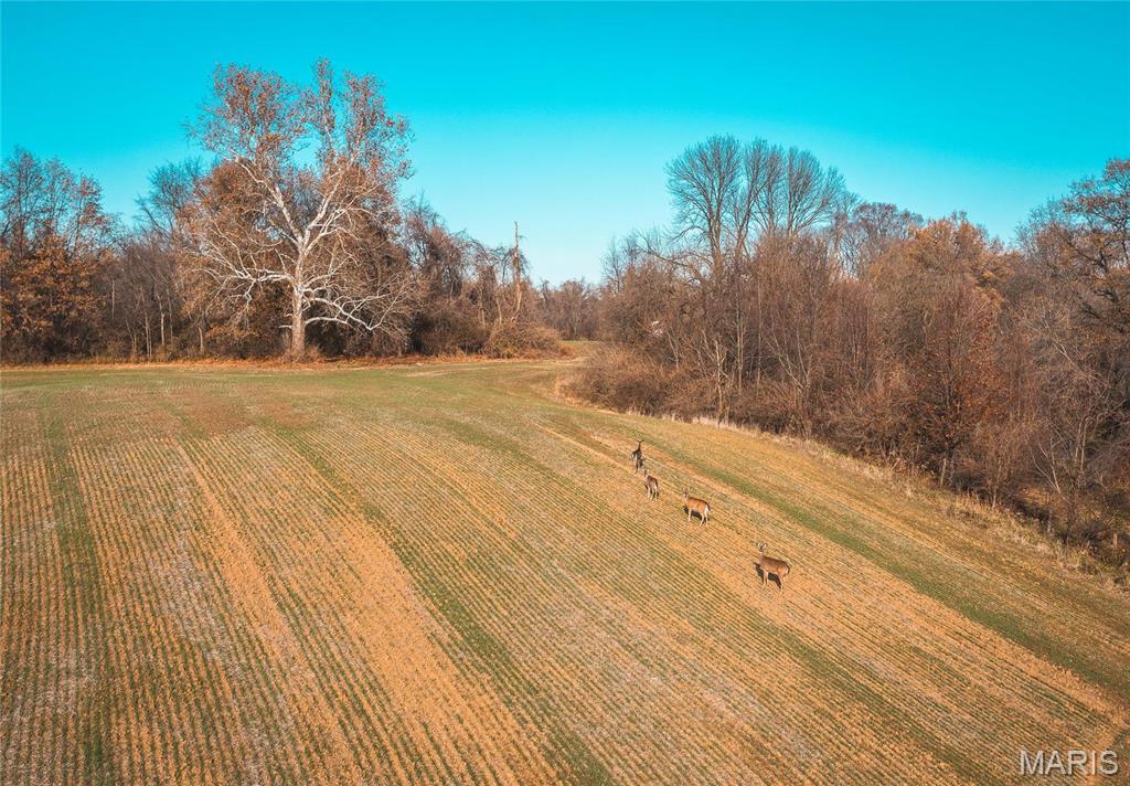 Green Acres - Farm