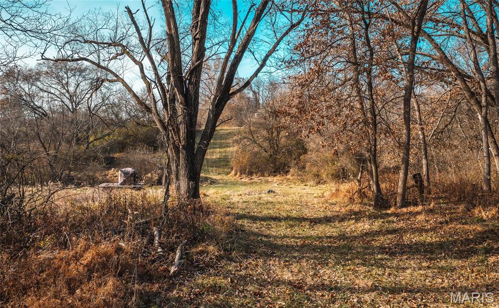 Green Acres - Farm