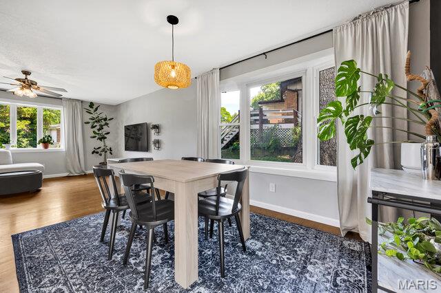 Bon Coeur Gardens 5 - Residential