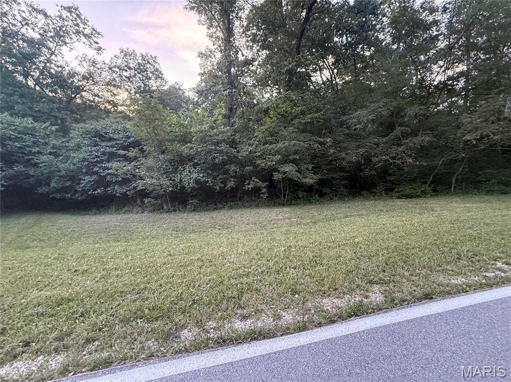 Rare opportunity to own 3 acres of unrestricted land with a live creek in Warren County! No HOA, no restrictions, and endless possibilities. Perfect, picturesque site for your custom home, barndominium, or recreational getaway. Bring your own builder and design your dream property from the ground up on your own timeline. Enjoy exceptional privacy, mature trees, and a peaceful rural setting while keeping you connected to nearby conveniences.