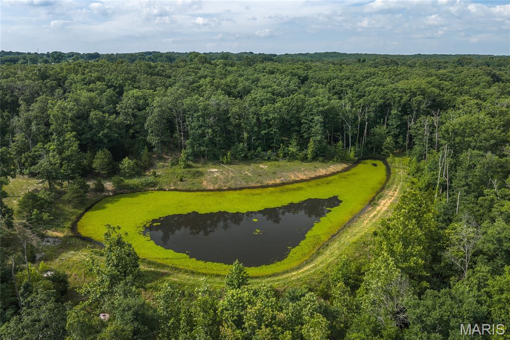 Tower Grove Estates - Farm