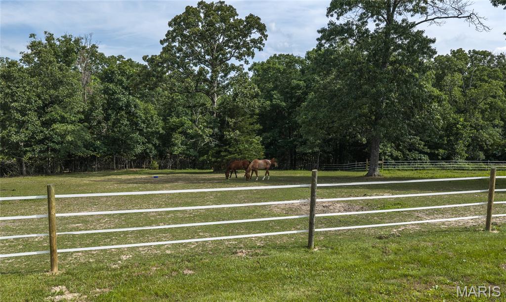 Tower Grove Estates - Farm