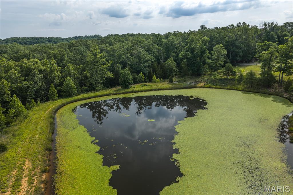 Tower Grove Estates - Farm