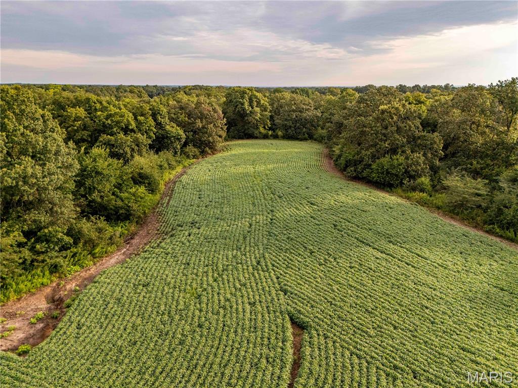 N/A - Farm