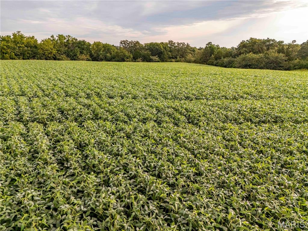 N/A - Farm