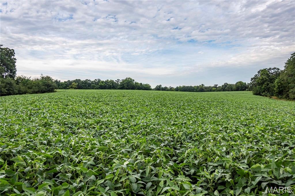 N/A - Farm