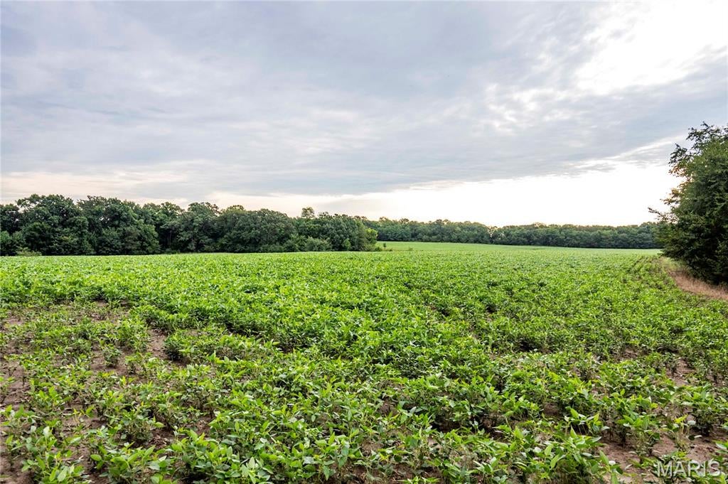 N/A - Farm
