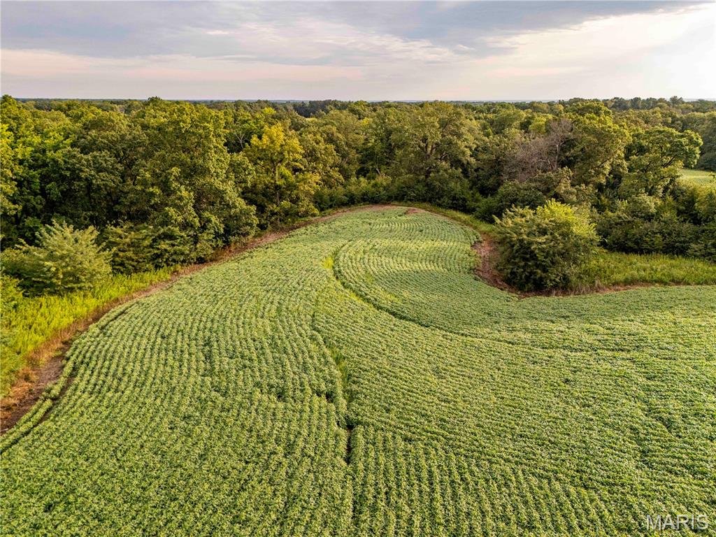 N/A - Farm