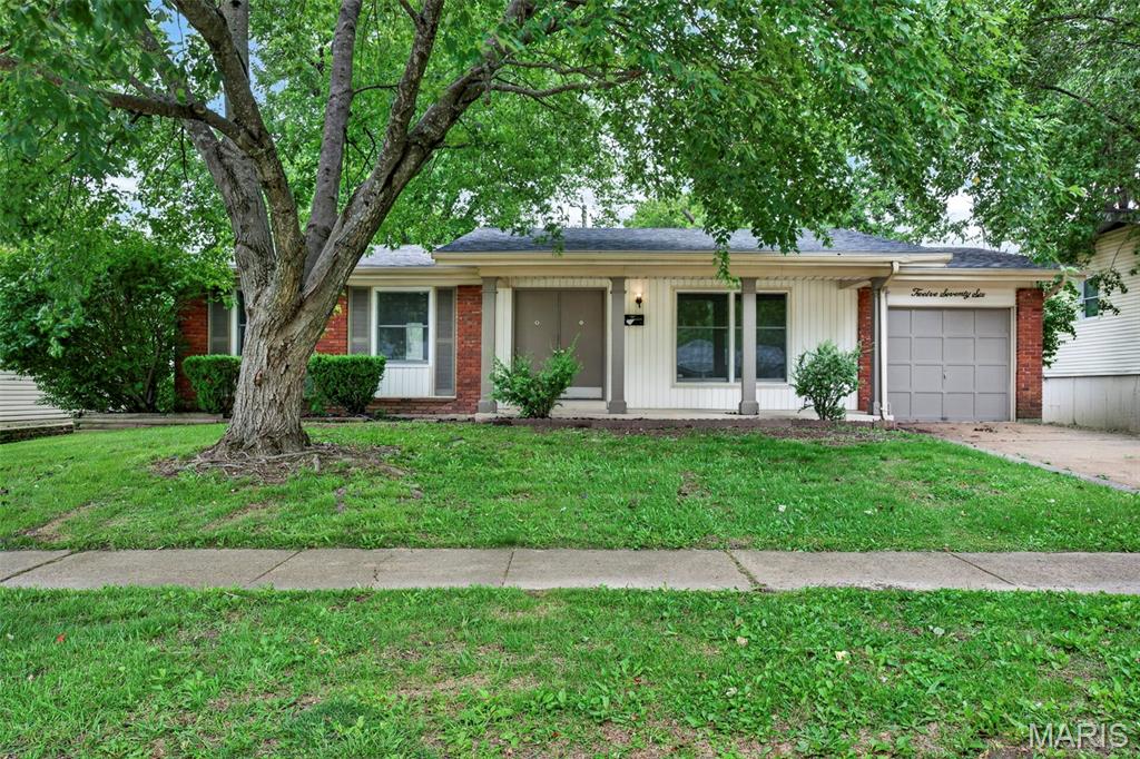 Flamingo Park 15 - Residential