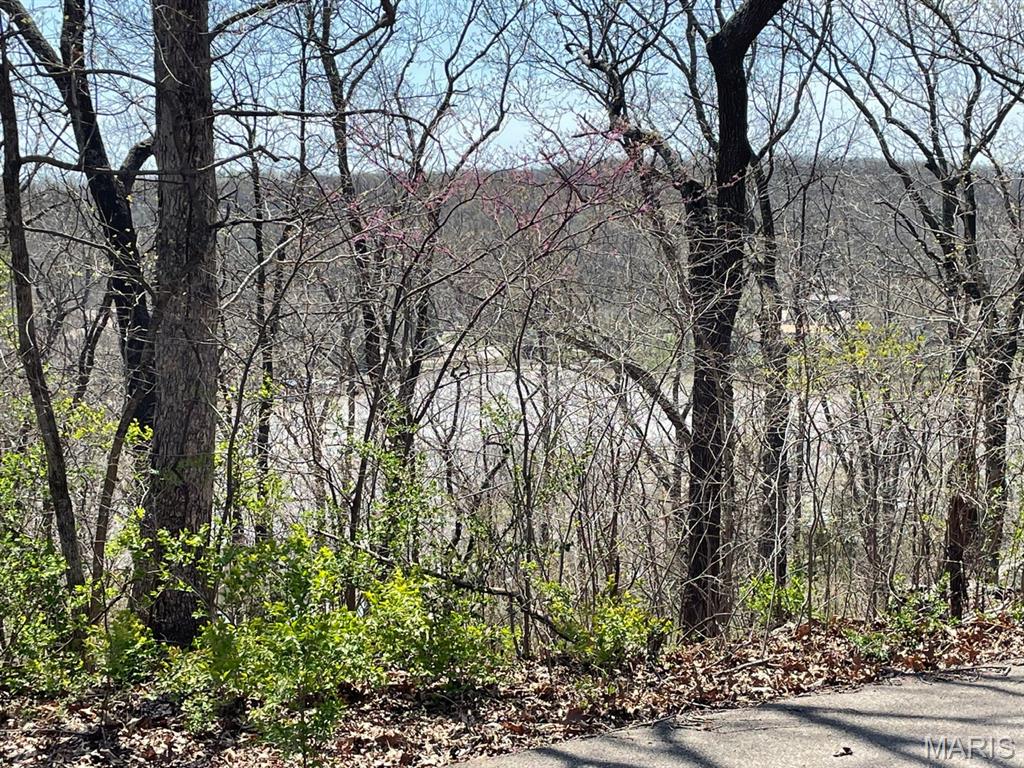 Goose Creek - Land