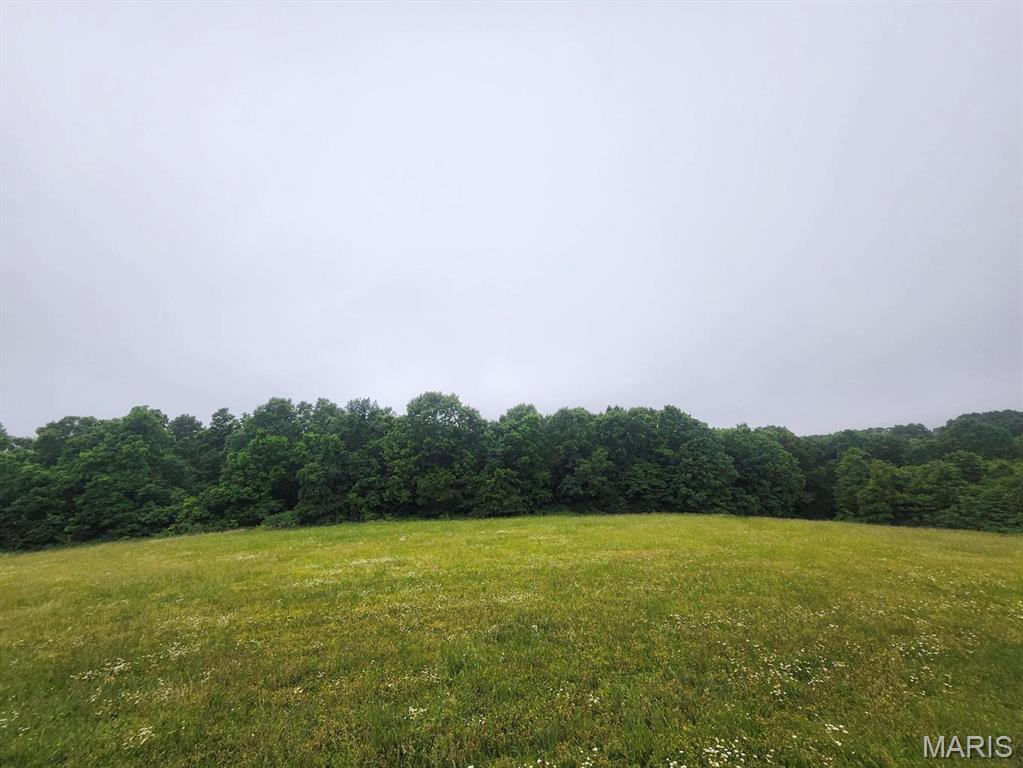 Discover the perfect blend of privacy, convenience, and natural beauty on this exceptional 31 M/L acre property located just minutes outside of Hartville, Missouri. Offering a bit of open with some large timber. COME GIVE THIS A LOOK.