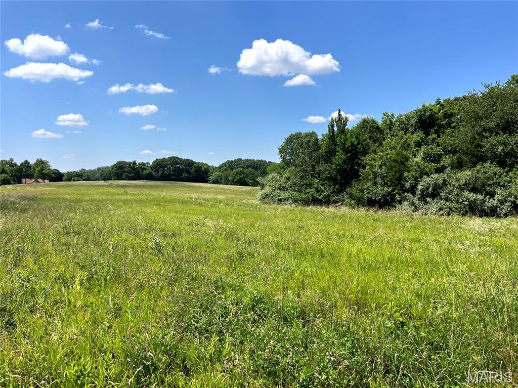 Approx. 10 acre tracts, all have blacktop frontage on Penrod County Rd. Tracts are a combination of native pasture & hay, all have woods. Prime homesites. Deer & turkey paradise. No Improvements, vacant land, buy to build or a great place to invest.  There are 4, 10 acre tracts that will be auctioned off on Monday, August 24, 2026. Public open house on Thursday, August 13, 2026 from 5:00 - 7:00 PM.  Go to our website for more details.
Acreage is approximate, subject to final survey.