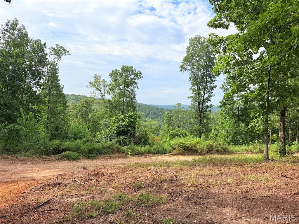 Looking for a river getaway? This 1.22-acre property offers 7 lots in the Black River Retreat #2 subdivision. The property has been freshly bush hogged and cleared, creating a nice mix of open space and mature trees. Two attractive entrances provide convenient access and create a half-circle drive.

With the Black River just a short distance away and electric nearby, this property is ready for your vision. Bring your camper, build a cabin, or create your own weekend retreat. Whether you’re looking for a place to enjoy the outdoors, an investment opportunity, or a future getaway, this property is ready to go!
