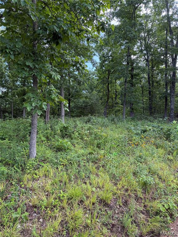 Black River Retreat #2 - Land