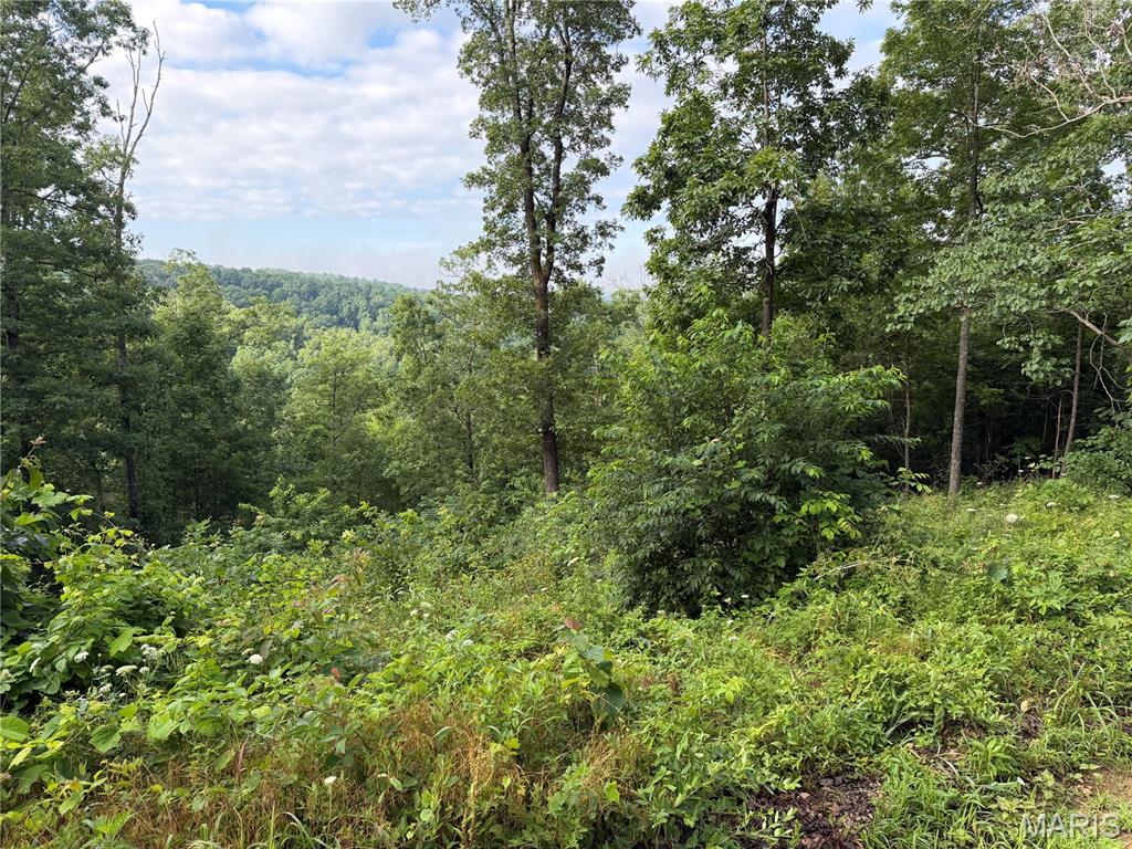 Black River Retreat #2 - Land